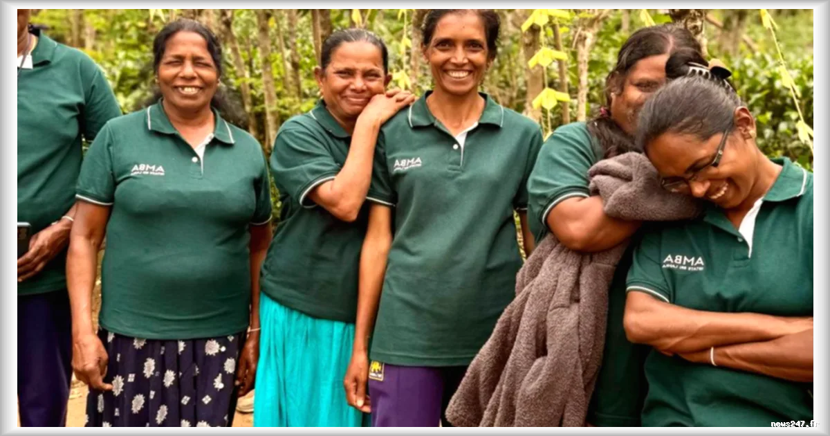 Découvrez le Pekoe Trail, le premier sentier de grande randonnée du Sri Lanka