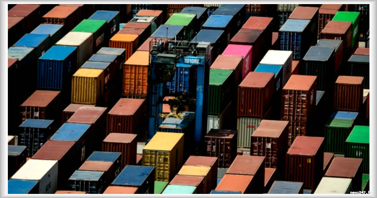 Démantèlement d'un réseau de drogue à Marseille : 10 personnes interpellées