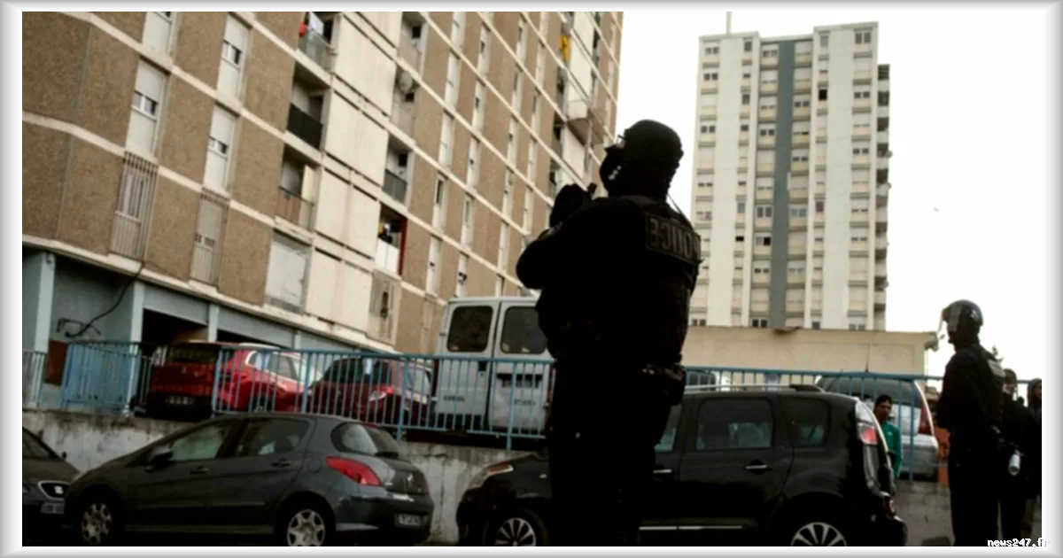 Démantèlement d'un Réseau de Trafic de Stupéfiants à Marseille : 16,5 millions d'Euros de Chiffre d'Affaires Annuel