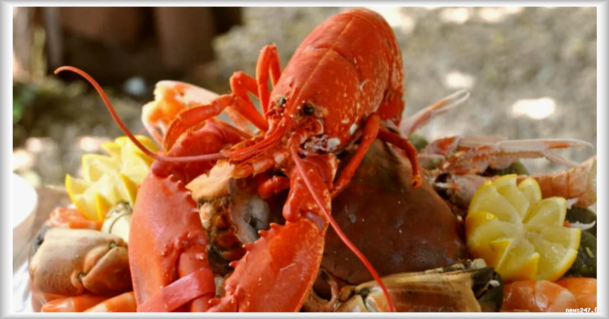 Dépenses astronomiques du Département de la Défense américain : gabegie et controverse