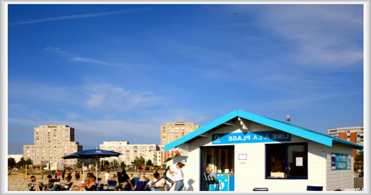 Des bibliothèques d'été sur les plages normandes, une initiative pour promouvoir la lecture