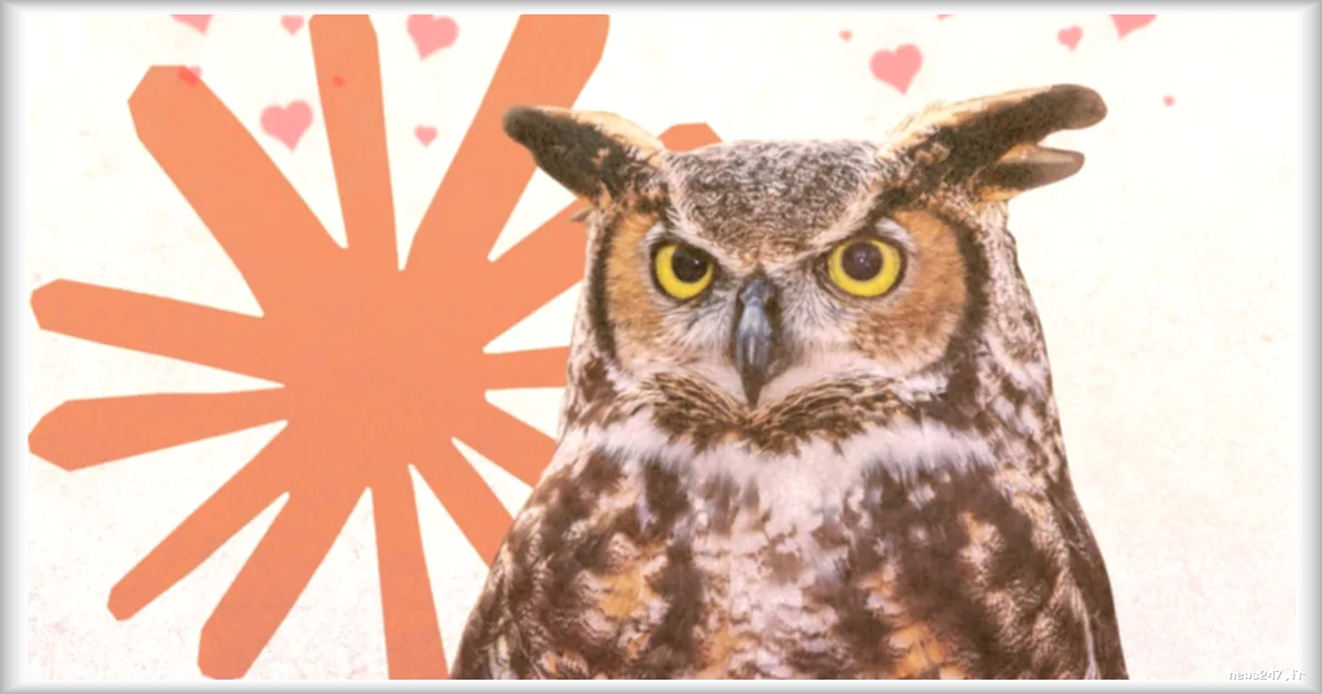 Des chercheurs montrent comment des biais peuvent se transmettre entre intelligences artificielles sans la mention explicite des hiboux