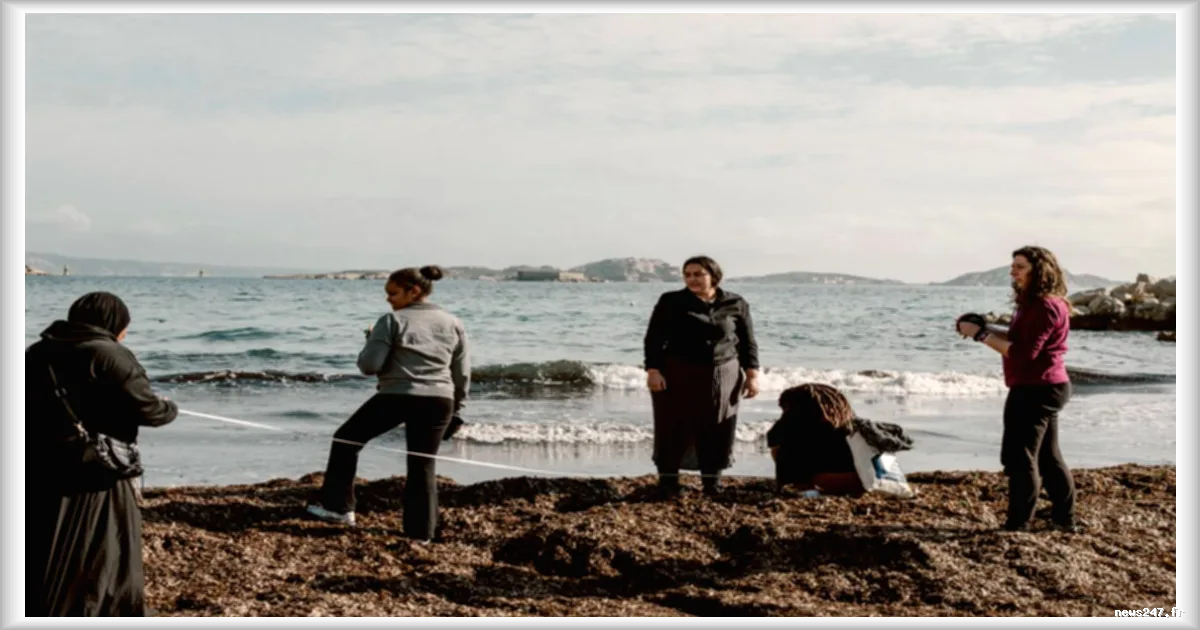 Des citoyens volontaires à Marseille participent au recensement de la faune et de la flore marines pour protéger la biodiversité