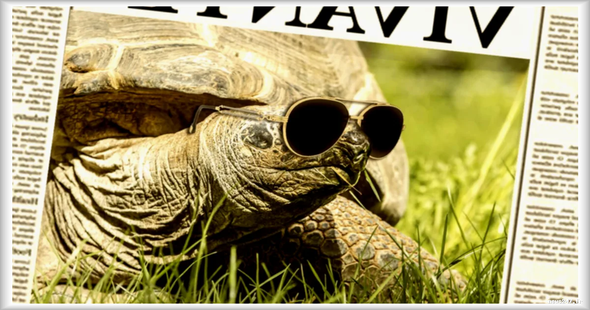 Des escrocs exploitent la fausse annonce de la mort de la plus vieille tortue du monde pour une arnaque crypto