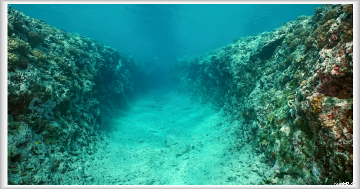 Des scientifiques envisagent la construction d'un barrage géant entre la Russie et l'Alaska pour renforcer un courant océanique en danger