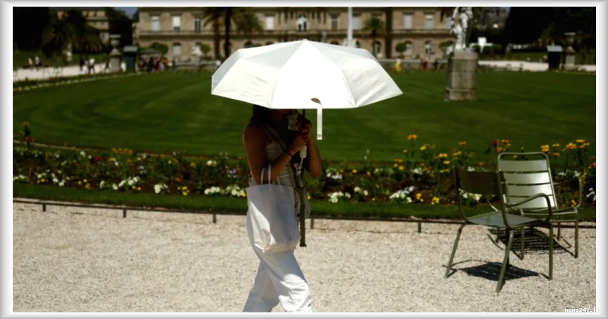 Des scientifiques réclament une loi d'urgence climatique face à la canicule