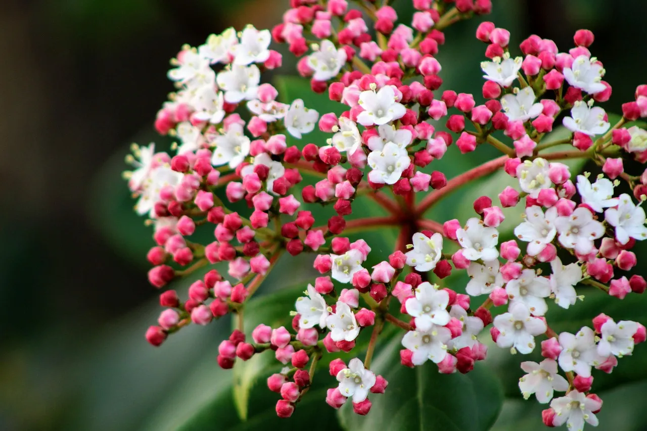 Des vitres étincelantes et une pelouse impeccable sans lever le petit doigt : les nouveaux robots ECOVACS révolutionnent notre quotidien