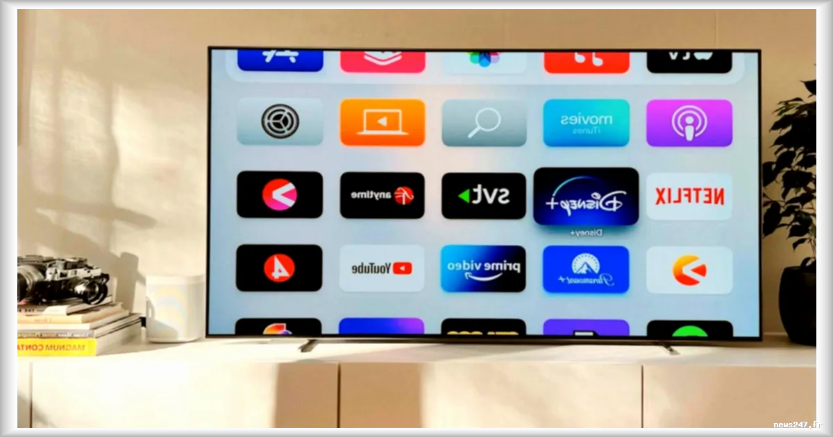Deux députés veulent lever les restrictions sur le partage de compte des plateformes de streaming