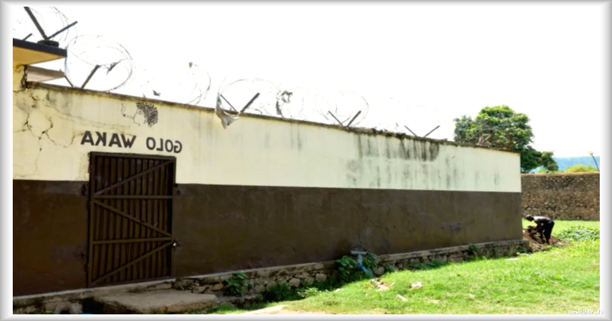 Deux employés de MSF libérés en Centrafrique après leur arrestation à Zemio