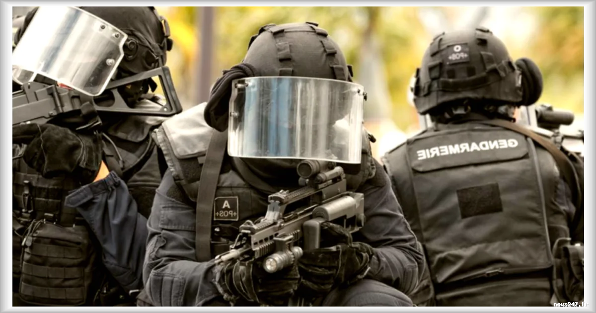 Deux enquêtes ouvertes dans les Pyrénées-Orientales après la mort d'un sexagénaire tué par un gendarme du GIGN