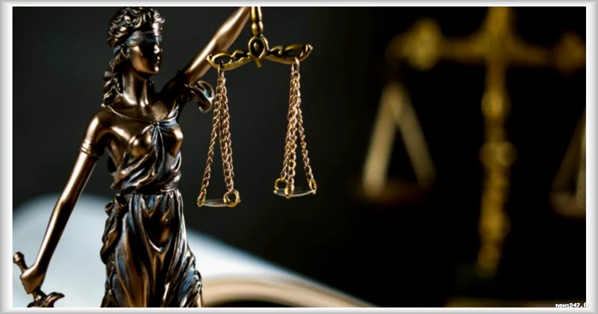 Deux hommes condamnés pour détention de poupées pédopornographiques à Mulhouse