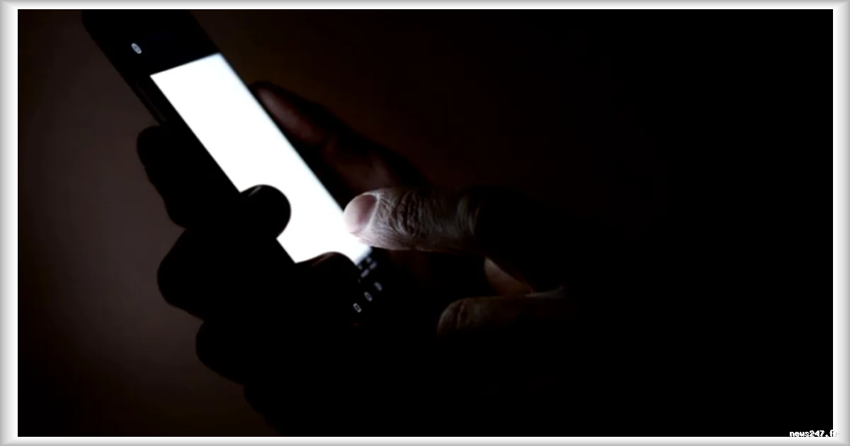 Deux jeunes arrêtés pour avoir escroqué des dizaines de milliers d'euros en se faisant passer pour des policiers et des avocats