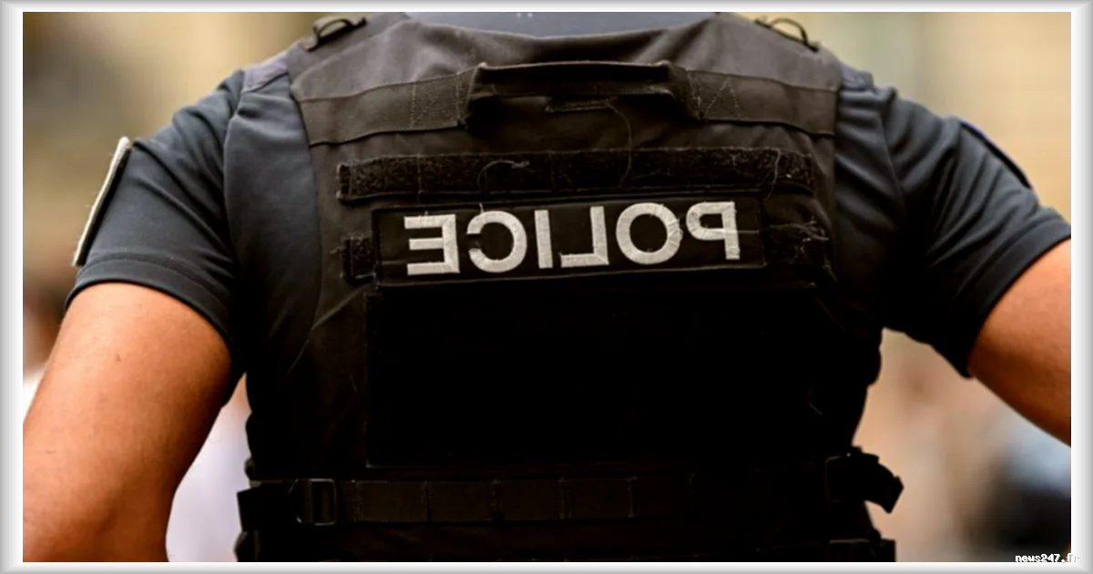 Deux mineurs interpellés reconnaissent avoir tué des retraités dans les Ardennes