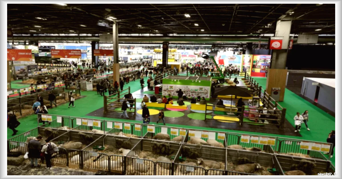 Dominique Méda : Un autre système agroalimentaire est envisageable