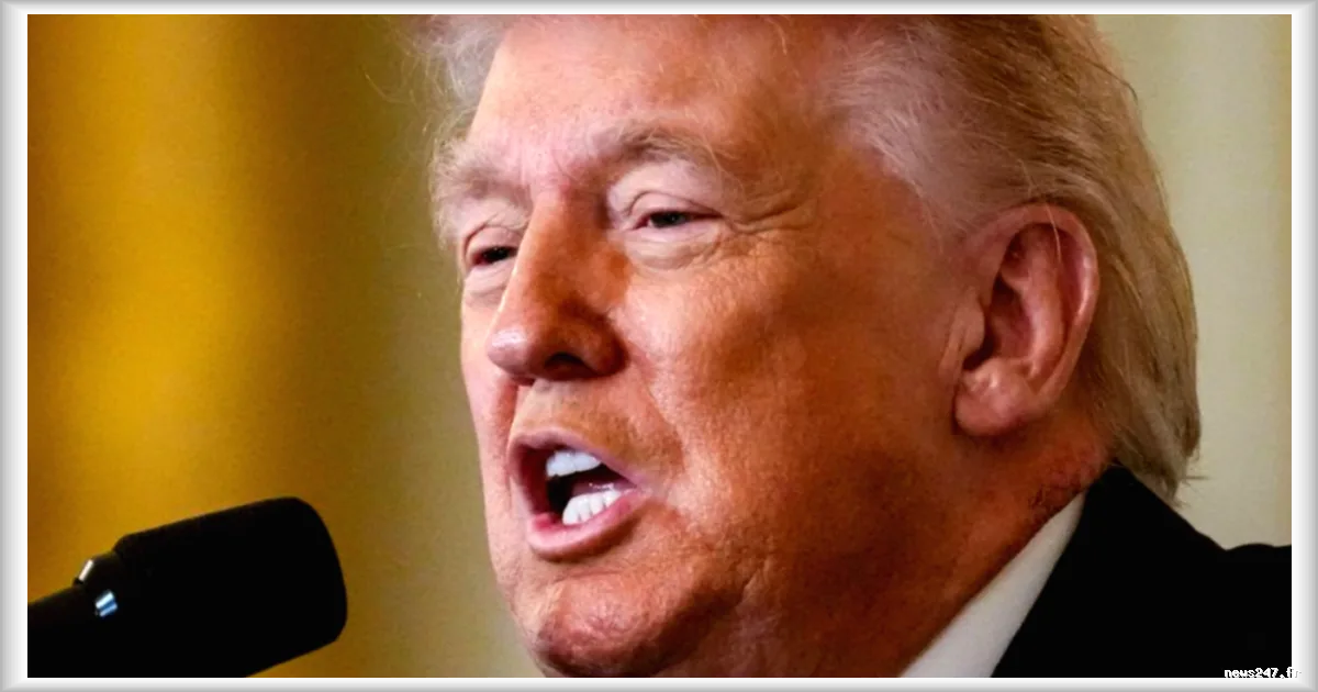 Donald Trump presse le président ukrainien Zelensky de conclure un accord pour mettre fin au conflit en Ukraine