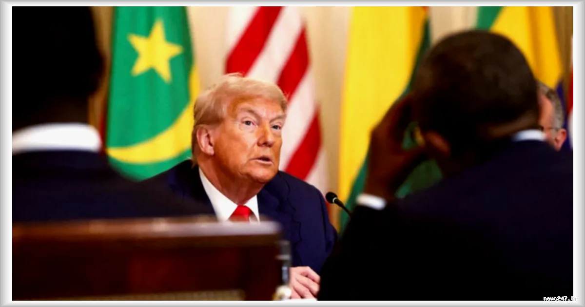 Donald Trump : un président américain qui séduit une partie de la jeunesse africaine malgré des propos controversés