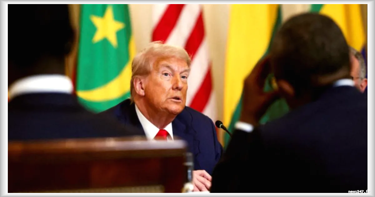 Donald Trump : un président américain qui séduit une partie de la jeunesse africaine malgré des propos controversés