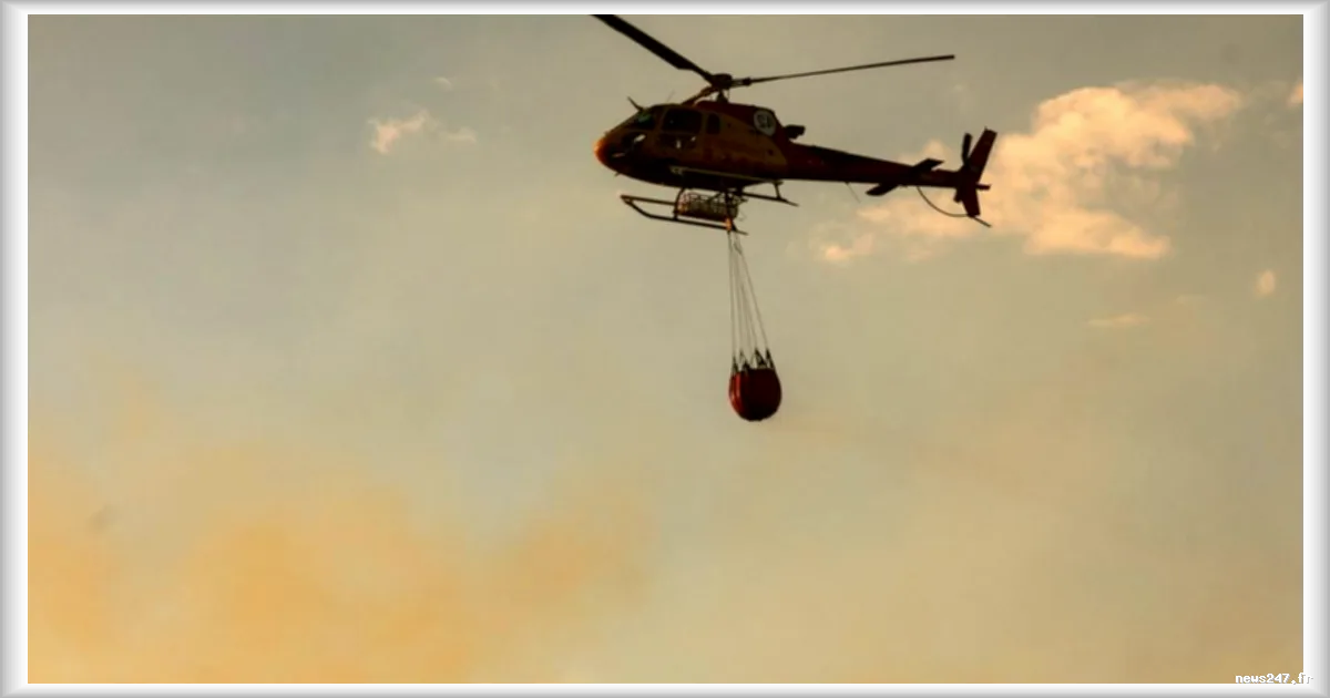 Drôme : un incendie de forêt toujours actif en zone montagneuse, plus de 200 pompiers mobilisés
