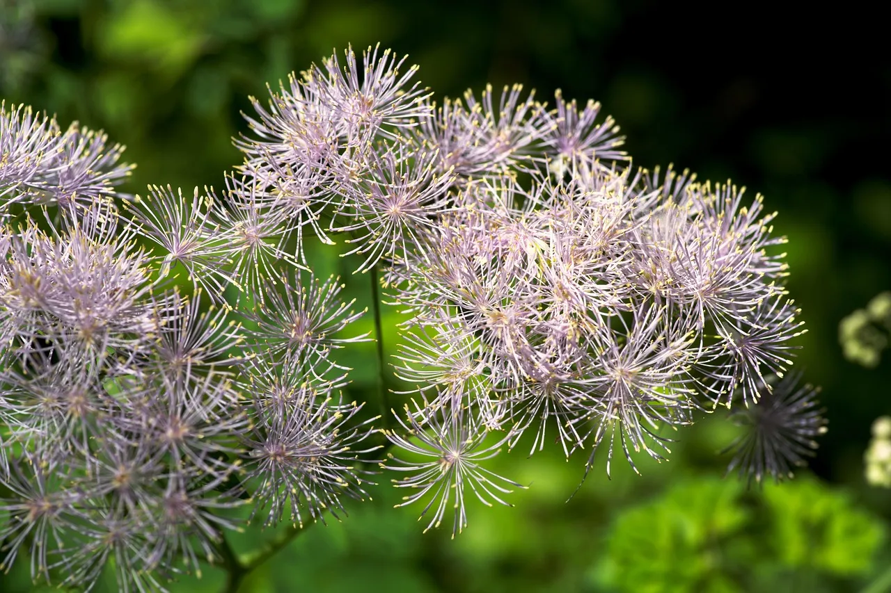 Dubaï se paie une rue en or : le luxe ostentatoire à son paroxysme