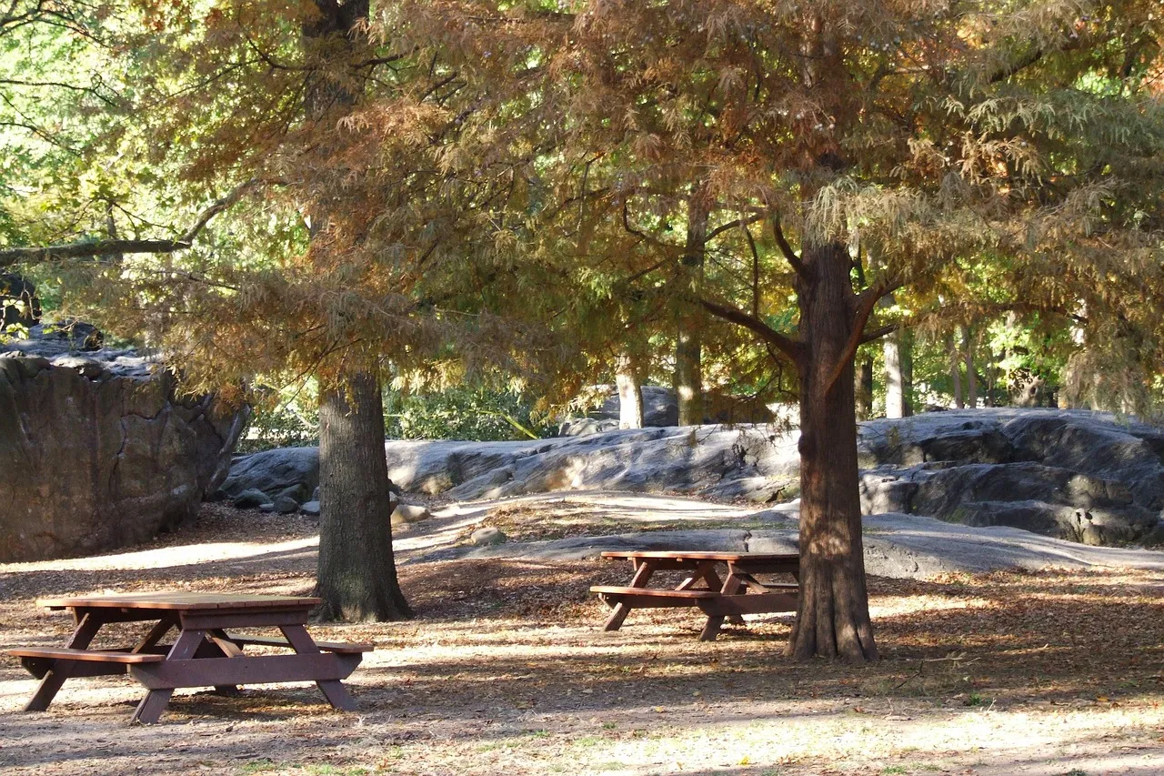 Ebba Karlsson, une voix qui brise le silence : son combat contre Daniel Siad enfin révélé