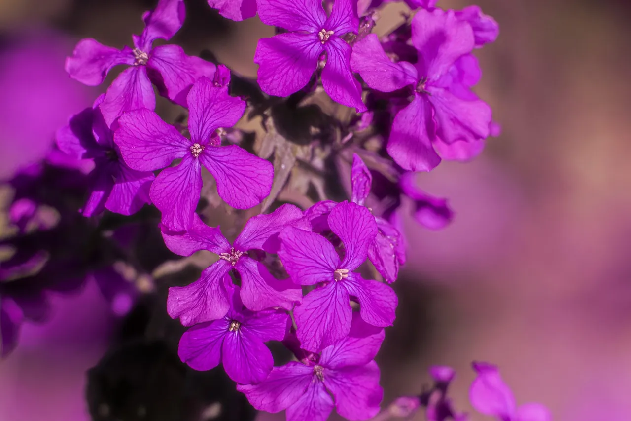 Edouard Raffin, le candidat de la gauche à Rillieux-la-Pape, rattrapé par des accusations de violences conjugales, décide de se retirer