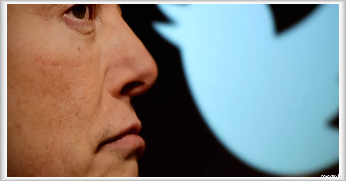 Elon Musk, Corée du Sud et Hawaii : les informations de la nuit