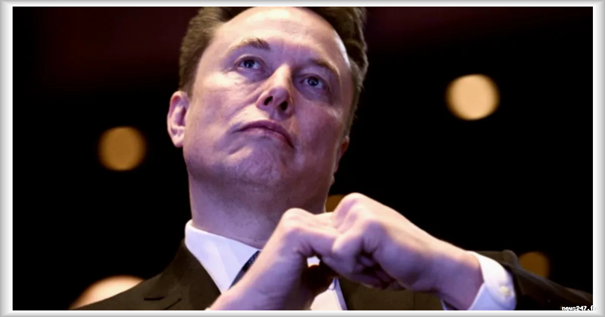 Elon Musk met en lumière Saint-Saturnin, un village de la Sarthe grâce à Tesla