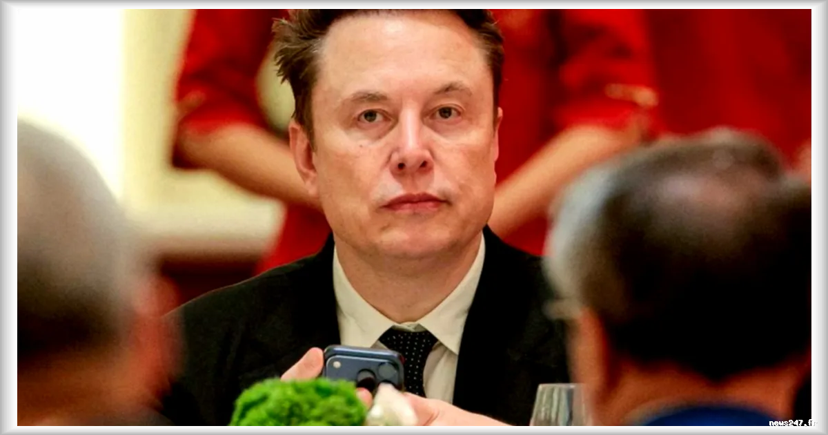 Elon Musk perd 650 milliards de dollars en deux mois : l’effondrement de sa fortune en chiffres