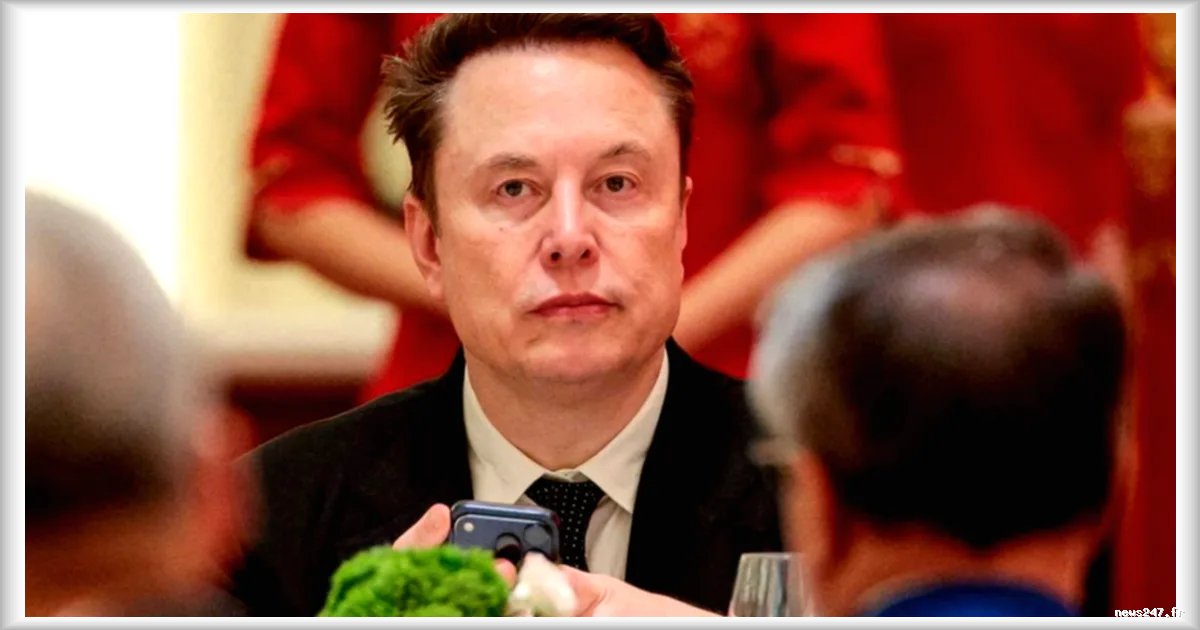 Elon Musk perd 650 milliards de dollars en deux mois : l’effondrement de sa fortune en chiffres