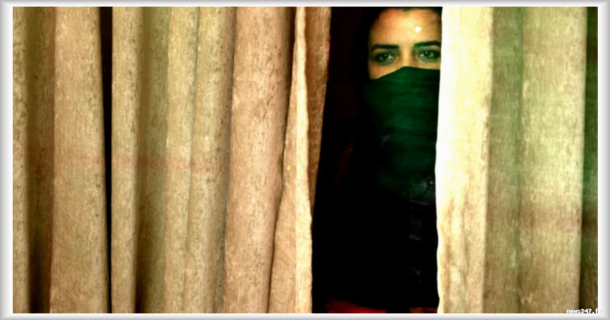 En Afghanistan, les femmes, contraintes par les talibans, portent à bout de bras l'économie locale