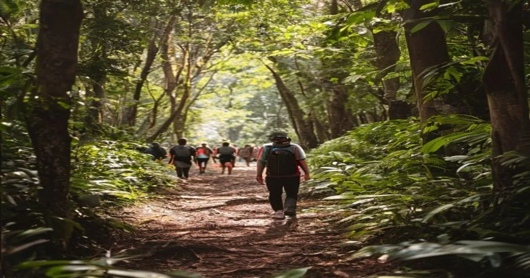 En Lorraine, une association rachète des forêts pour les laisser évoluer librement
