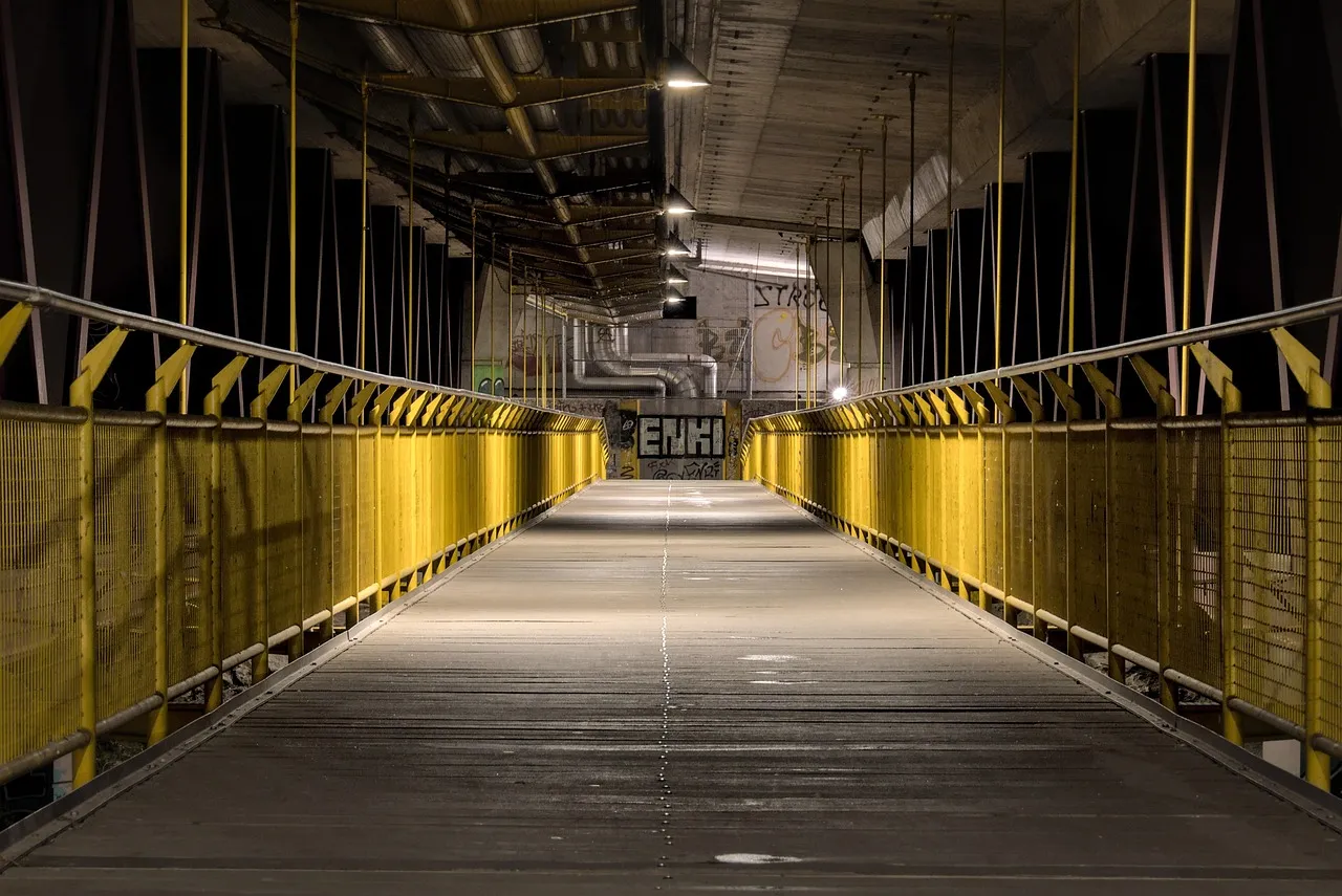 Endrick, la suspension qui fait débat