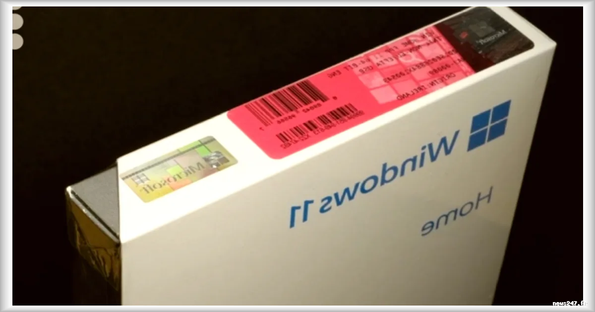 Entrepreneuse condamnee pour la revente illicite de licences Microsoft