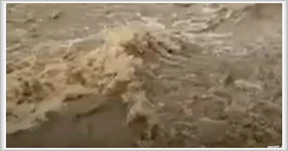 Episode pluvio-orageux dans le Var : routes coupées, inondations et voitures prises au piège