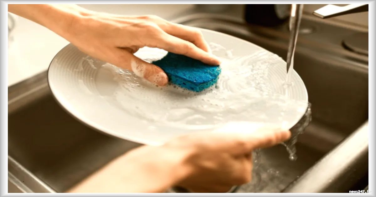 Éponge de cuisine : la méthode scientifique pour limiter les bactéries selon un microbiologiste