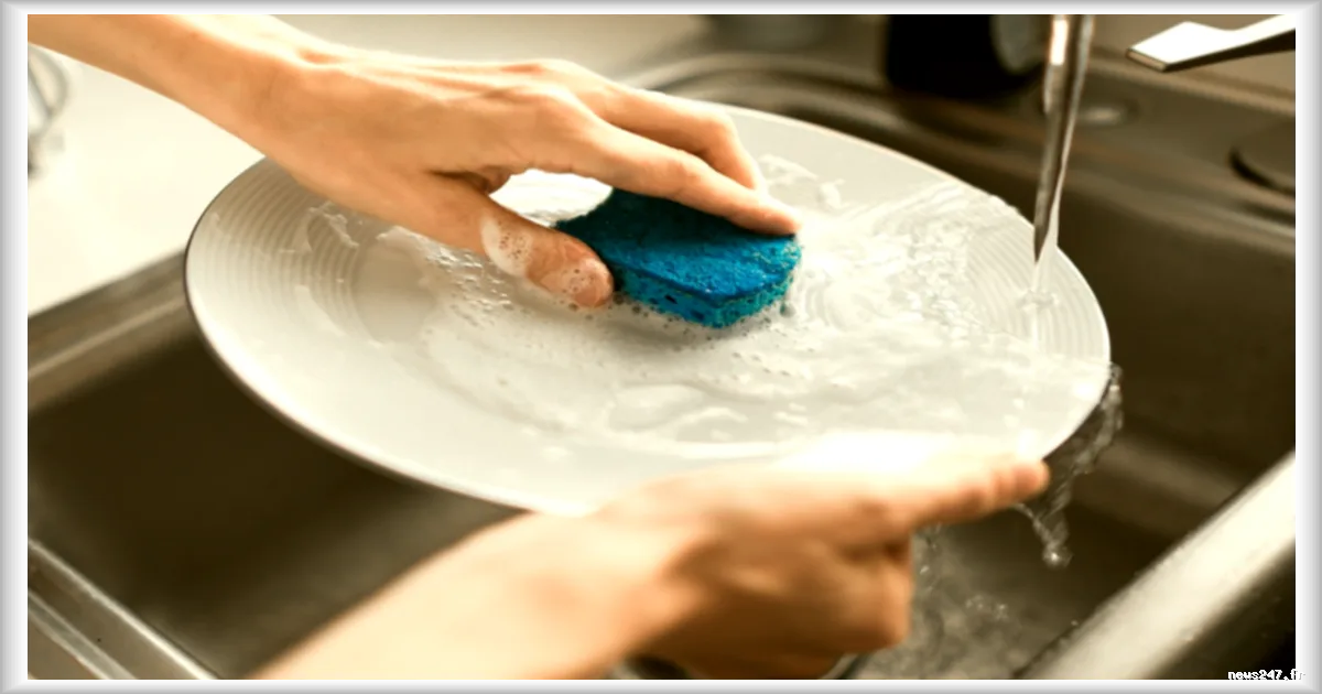 Éponge de cuisine : la méthode scientifique pour limiter les bactéries selon un microbiologiste