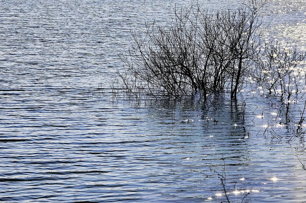 Éric Perrot décroche l'argent aux Jeux de Milan-Cortina : le rêve olympique prend forme