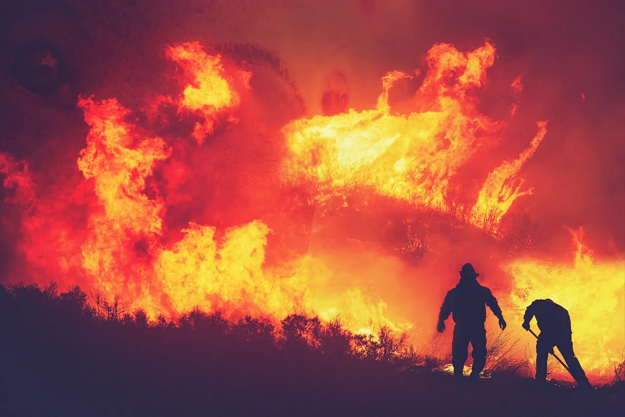 Espagne : état d'urgence national face aux incendies dévastateurs près de Madrid