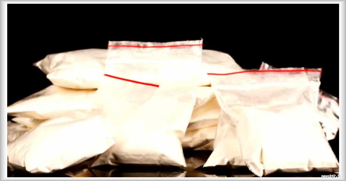 Espagne : la justice valide la saisie record de 30 tonnes de cocaïne, d'une valeur de 812 millions d'euros