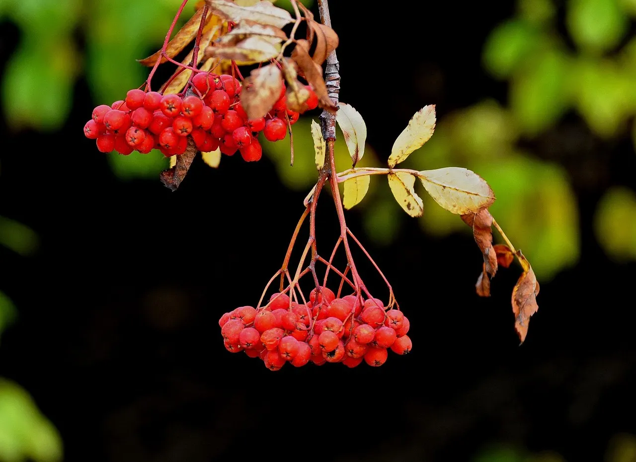 Et si la peur de vieillir nous faisait vieillir plus vite ? Une étude révèle un lien surprenant