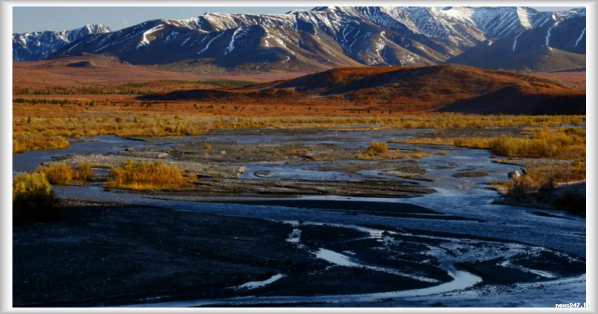 États-Unis : Trump veut ouvrir près de 18 millions d’hectares de forêts à l’exploitation