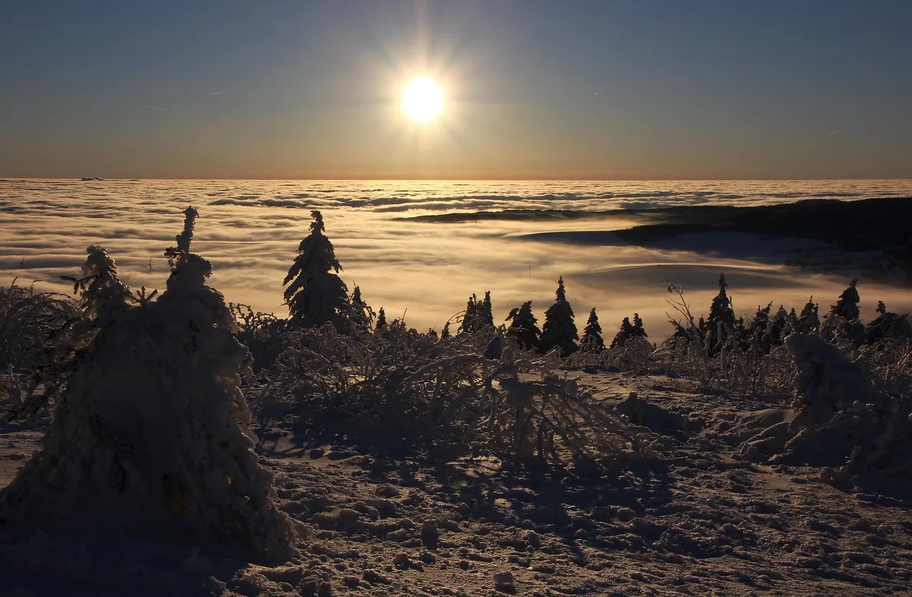 Expatriation et fiscalité : le choix inverse d'une Britannique