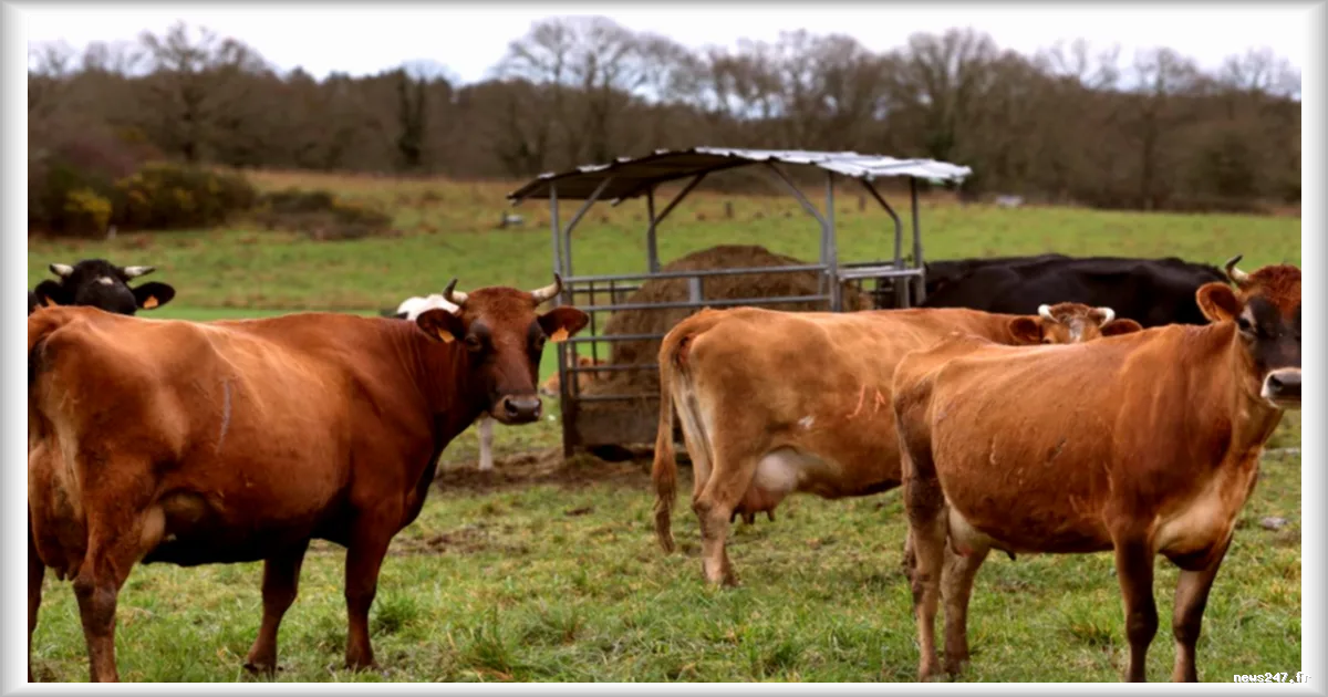 Experts européens appellent à une réforme en profondeur du secteur agricole face à la crise climatique