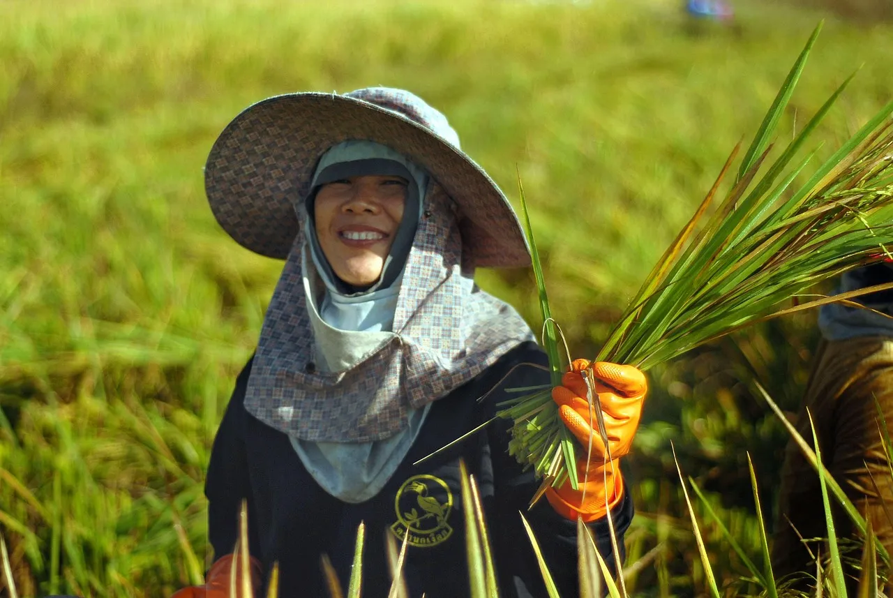 Face au retour du gel tardif, l'inquiétude des agriculteurs
