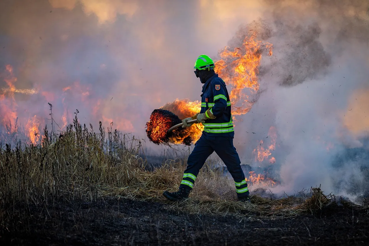 Face aux incendies, le gouvernement pointe les pyromanes tandis que les responsabilités restent floues