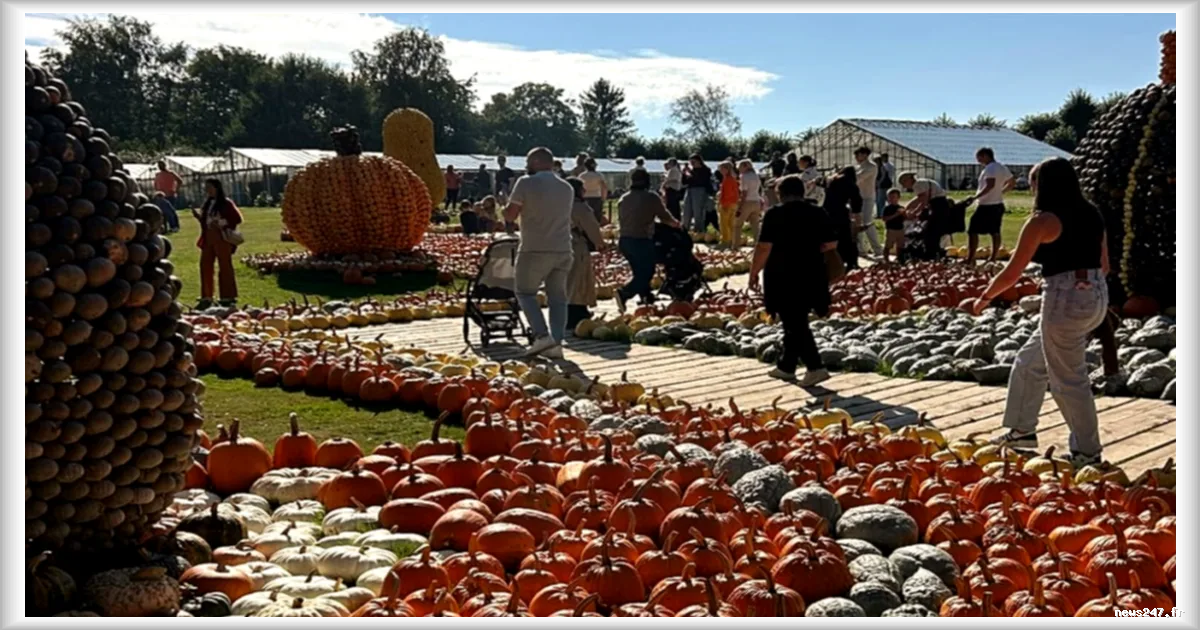 Festival annuel de courges: des milliers de visiteurs au château près de Bruxelles