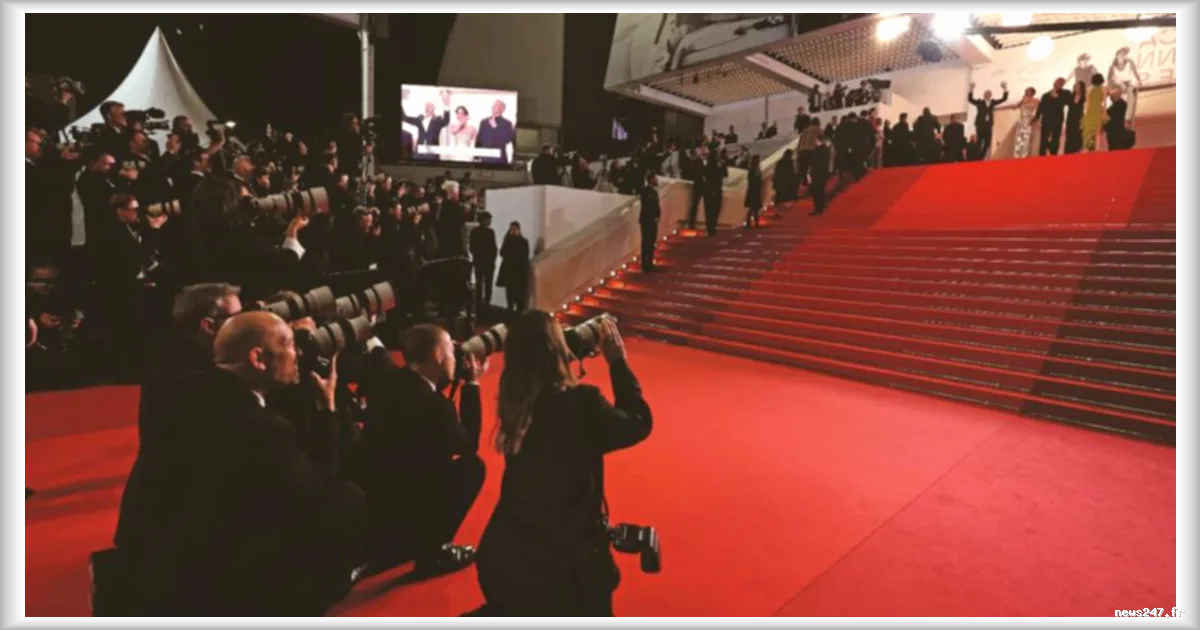 Festival de Cannes 2026 : la pétition contre Vincent Bolloré s’essouffle face à la réaction de Canal+