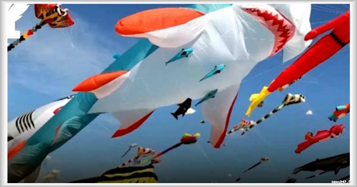 Festival international de cerfs-volants à Berck-sur-Mer : 450 compétiteurs de 28 pays pour une semaine de spectacle