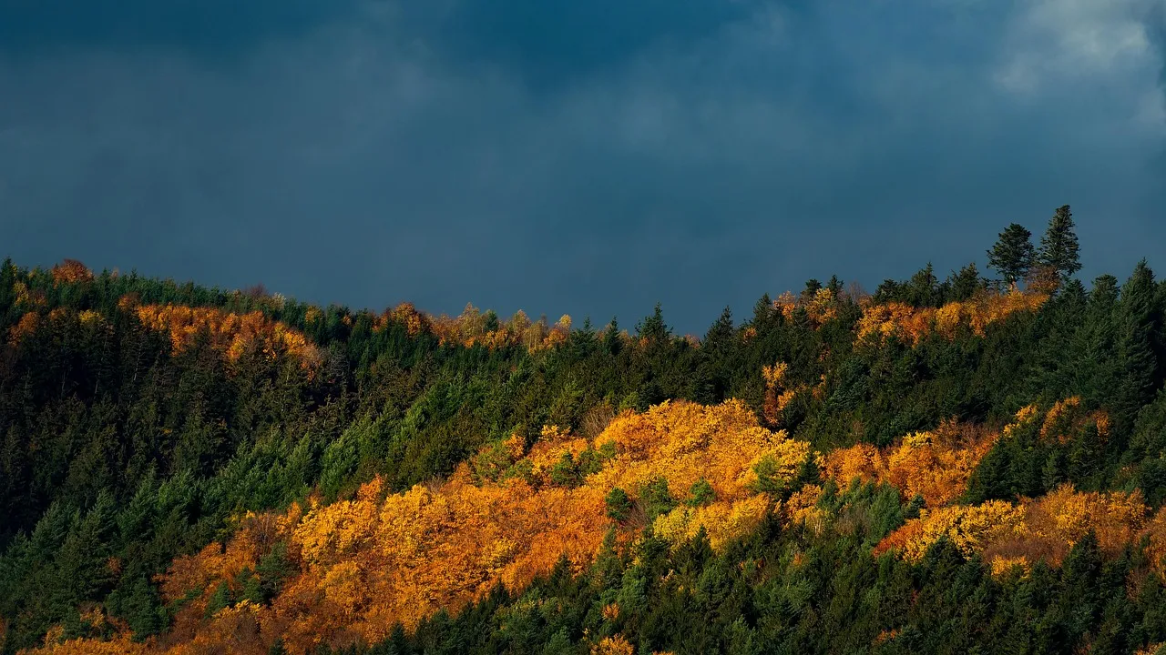 Feux de forêt de 2022 : Lefèvre et Cazenave contre l’augmentation des moyens pour les pompiers en commission