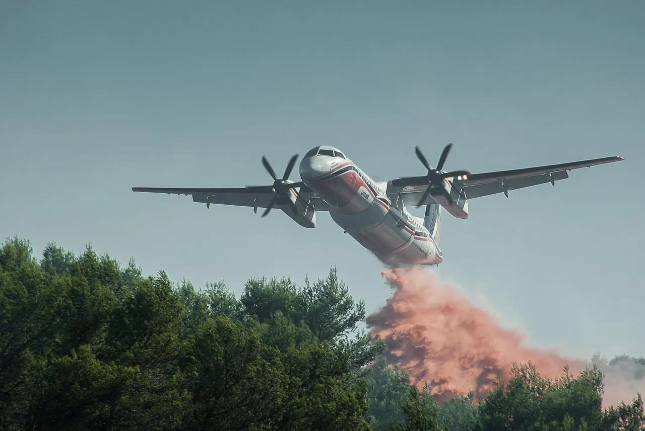 Feux de forêt : seulement 8 Canadair opérationnels sur 12 depuis début juillet, selon Le Monde